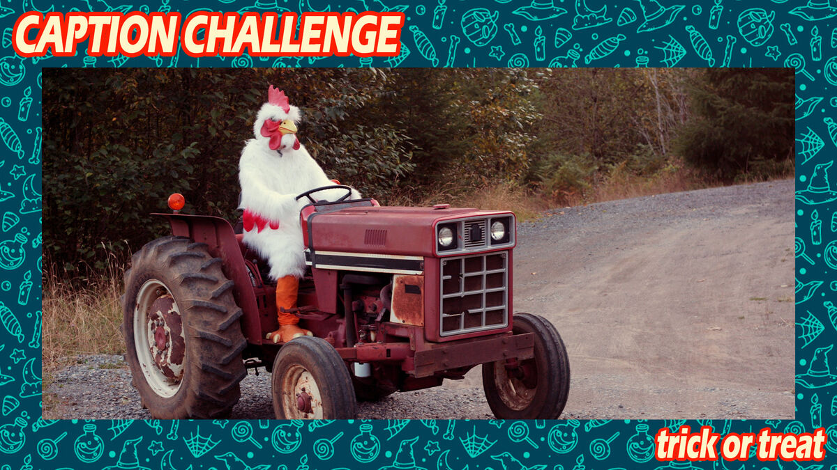 Caption Challenge Trick or Treat image number null